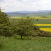 Blick vom Böhlenberg auf Immighausen