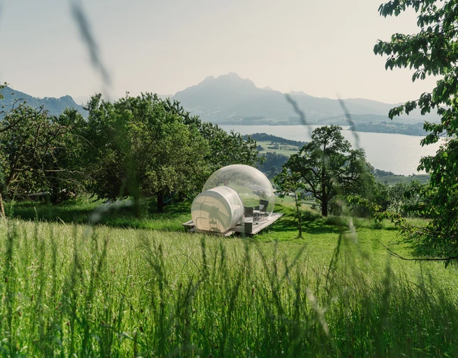 Bubble Tent Bubble Tent mit PanoramasichtBubble Tent with panoramic viewTente à bulles avec vue panoramique