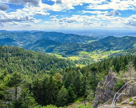 Ausblick vom Hohfelsen