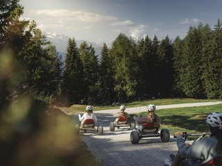 Abenteuer mit Mountaincart im Bergwald der Riederalp Vier Personen erleben mit dem Mountaincart Aletsch Arena eine sommerliche Fahrt durch den grünen Bergwald oberhalb der Riederalp im Wallis
