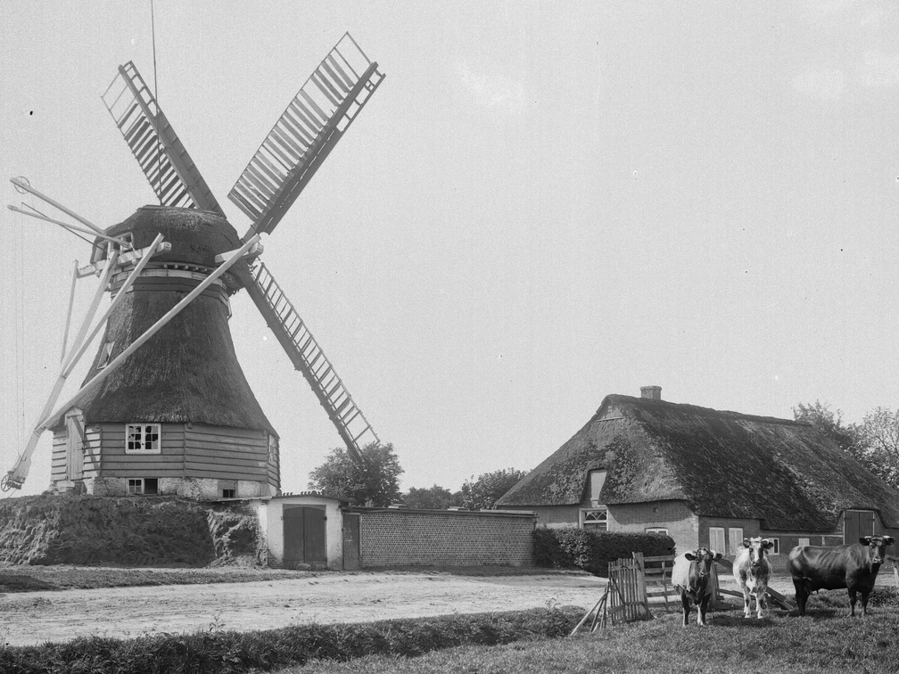 Meldorf-DLM-Hollaendermuehle.jpg