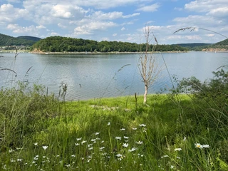 Wiese und Edersee nahe Bringhausen