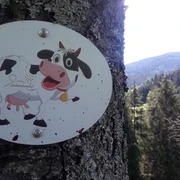 Löcherhansen Rundweg