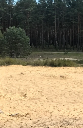 Die "Wirler Spitze". Früher undenkbar: Wechsel auf die andere Seite der ehemaligen Grenze. Neben dem Häuschen im Hintergrund finden Interessierte Informationen zu Flora und Fauna.
