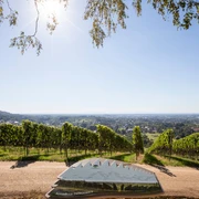 Atemberaubenden Aussicht in die Rheinebene