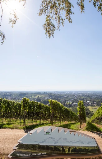 Atemberaubenden Aussicht in die Rheinebene