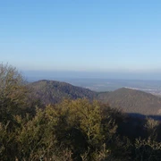 Ausblick vom Aussichtsturm auf dem Homberg
