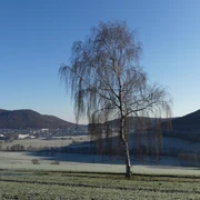 Blick auf Reinhardshausen und das Wölftetal