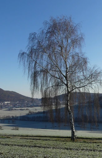 Blick auf Reinhardshausen und das Wölftetal