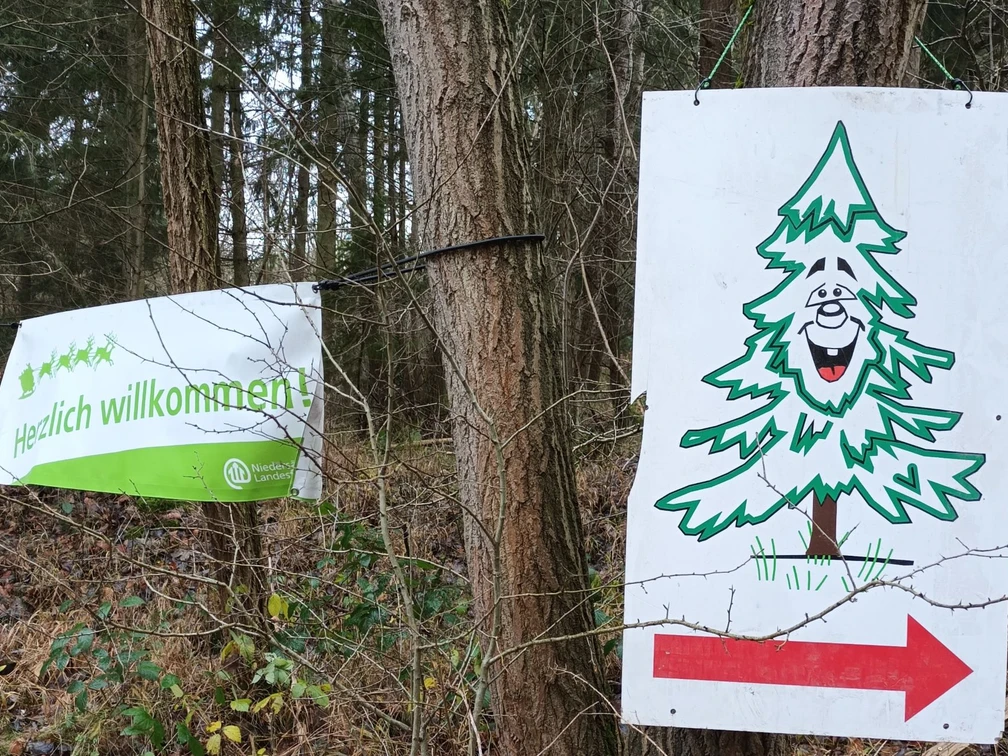 Weihnachtsbaumverkauf_Landesforste_HöhenzugSalzgitter_HD.jpg