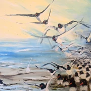 Austernfischer Flug ins Licht 120cm x150cm .jpg