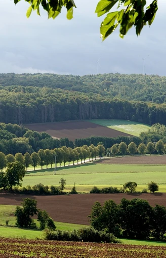 hügelige Landschaft im Fachwerk5Eck