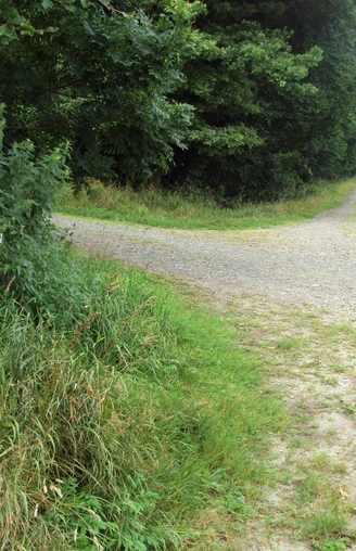 Salzgitter Höhenzug, Wanderwege 29 und 30 Weggabelung