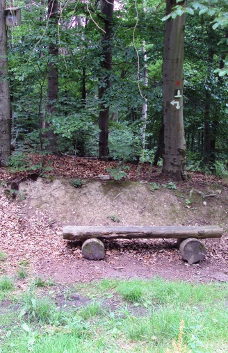 Salzgitter Höhenzug, Wanderweg 30 Rastbank