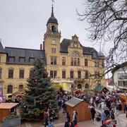 Weihnachtsmarkt Bad Lausick - Weihnachten in der Region Leipzig Großer Tannenbaum auf dem Weihnachtsmarkt vor historischem Rathaus in Bad Lausick.
