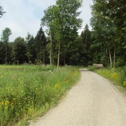 Salzgitter Höhenzug, Wanderweg 21 breiter Weg