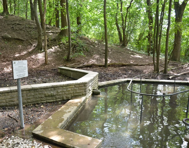 Kneipp-Tretbecken Salzgitter-Bad