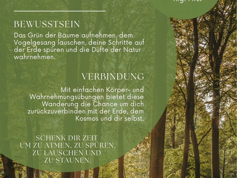 2025 11 9 Mediwanderung