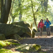 Großsteingrab Deymanns Mühle