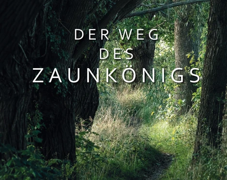 241014_Willow_Wren_de_cover_v_sts (1).jpg