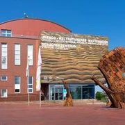 thumbnail_image002 (1).jpg