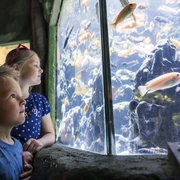 Tetra Aquarium_c_Zoo Osnabrück_f_Bettina Meckel.jpg