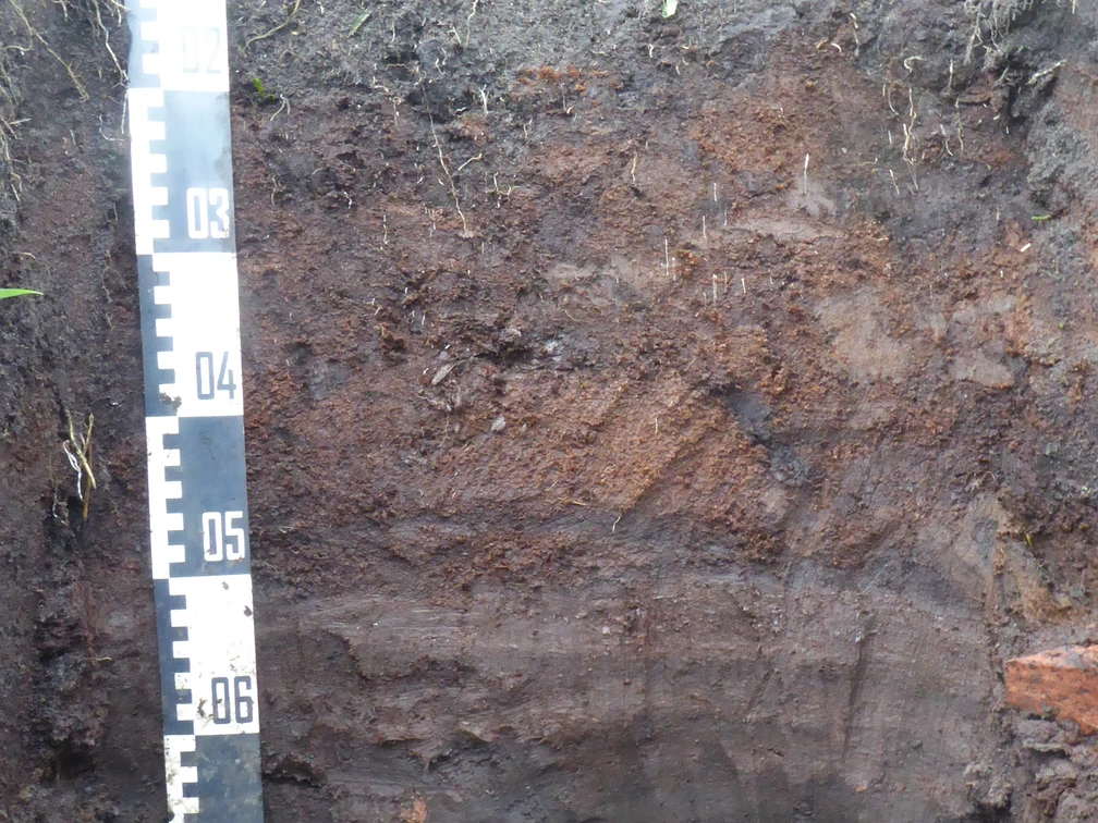 P1030023.JPG Bodenschicht mit verschiedenen Farbschichten von dunkelbraun bis schwarz, daneben ein Maßstab mit Zahlen von 05 bis 09.