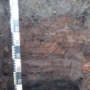 P1030023.JPG Bodenschicht mit verschiedenen Farbschichten von dunkelbraun bis schwarz, daneben ein Maßstab mit Zahlen von 05 bis 09.