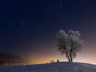Winter in Escholzmatt. Foto: Benedikt Meier