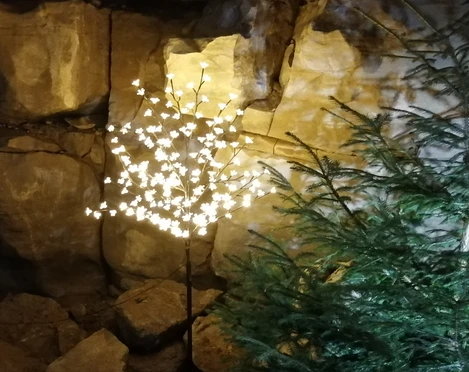 Weihnachtszeit Schillat-Höhle Weihnachtszeit Schillat-Höhle