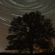 Strichspuraufnahme des nördlichen Sternenhimmels, die am 31. August 2019 beim West-Havelländer Astro-Treff entstand. | Foto: Holtkamp