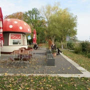 Fliegenpilz Café mit Fliegenpilz-Dach in herbstlicher Umgebung, umgeben von buntem Laub und Sitzmöglichkeiten.