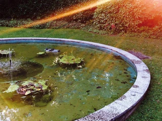 horn-aussenbereich-2