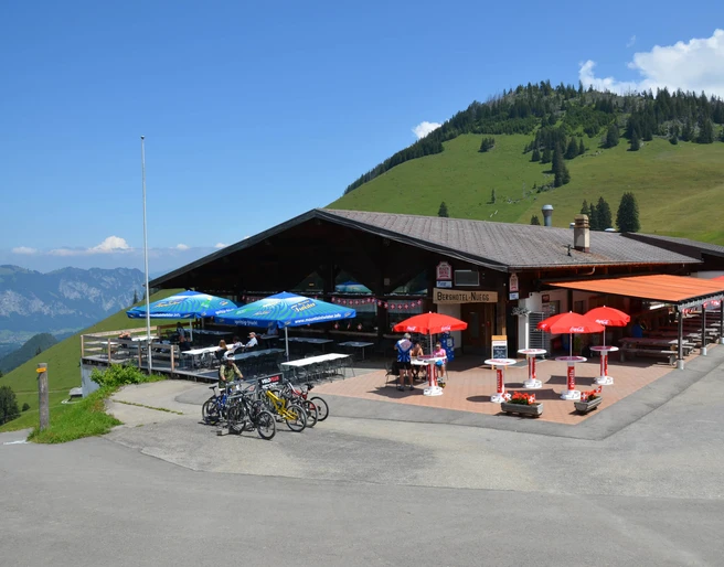 berghotel-wiriehorn-aussenansicht-sommer