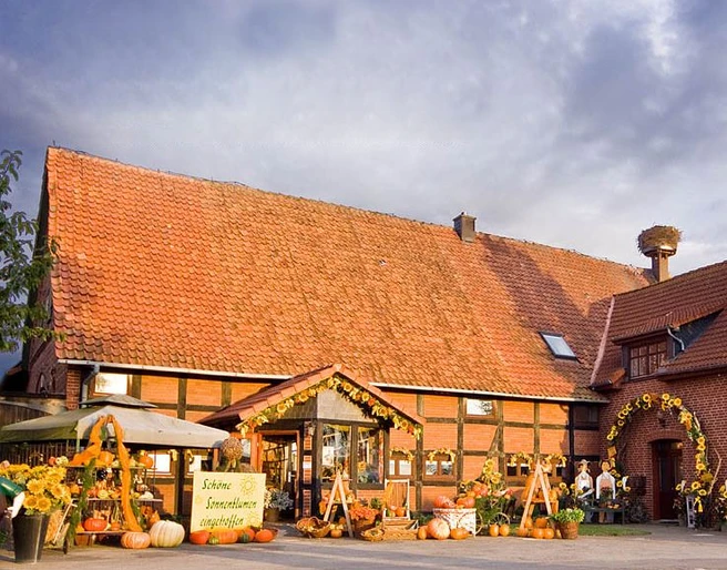Floristik unterm Storchennest Historisches Backsteinhaus mit üppigem Blumenschmuck und Storchenhorst auf dem Dach in ländlicher Umgebung.