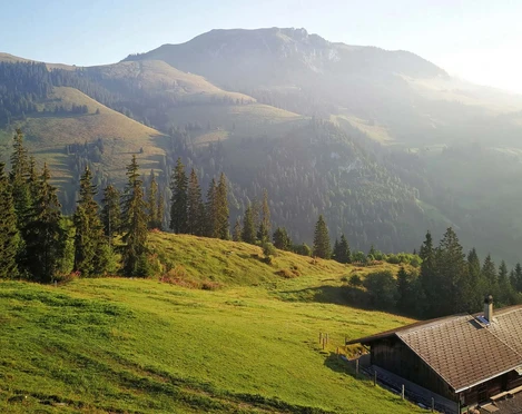 sennhuette-menigwald-abendsonne-aussicht