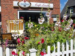 Sommerblumen