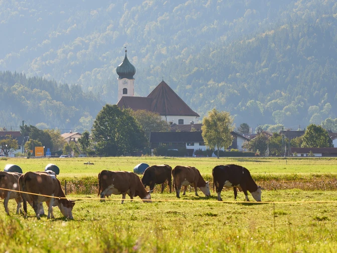 Eschenlohe im ZugspitzLand