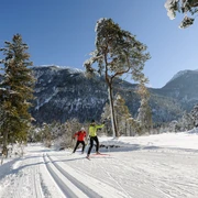 Langlaufen im ZugspitzLand