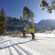 Langlaufen in Farchant am Fuße der Zugspitze