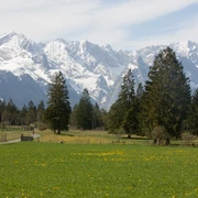 Föhrenheide