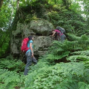 Wandern auf dem Ahornweg Zwei Wanderer erklimmen einen bewachsenen Felsen im Grünenwald umgeben von Farnen.