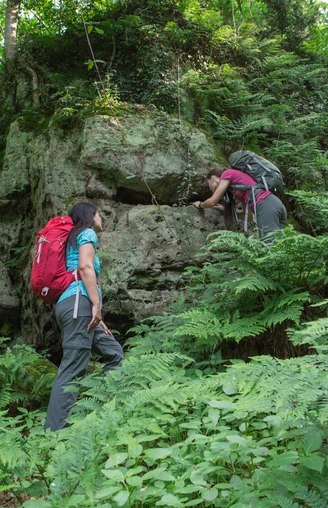 Wandern auf dem Ahornweg Zwei Wanderer erklimmen einen bewachsenen Felsen im Grünenwald umgeben von Farnen.