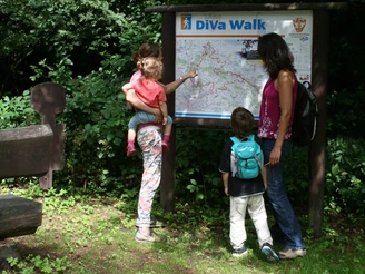Wandern auf dem DiVa-Walk Drei Personen studieren eine Landkarte an einem Waldwanderweg.