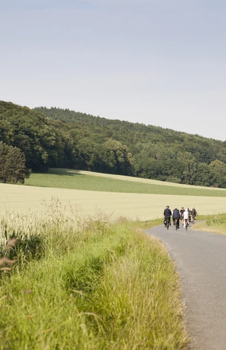 Radeln auf dem OC 1 - Rund um Ostercappeln - Wiegbold, Windthorst und Waldesruh Zwei Radfahrer auf einem ländlichen Weg mit Wiesen und dichten Wäldern im Hintergrund.