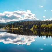 bad-harzburger-teufelsstieg-wanderung-harz-wandern-von-bad-harzburg-auf-den-brocken-wandern-im-harz-abstieg-goetheweg-zum-torfhaus-01