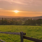 cafegoldbergpferdekoppel