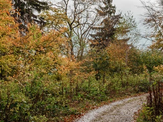 adenberg