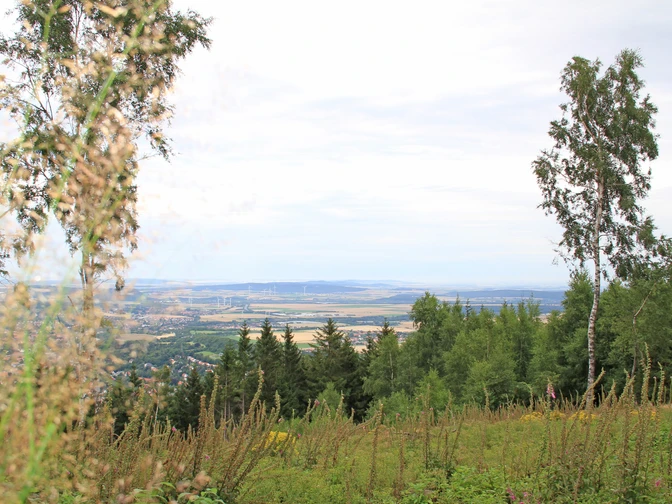 blick_in_richtung_salzgitter