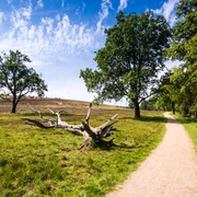 wanderweg-heide